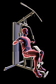 Man training on a hammer strength machine, illustration