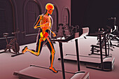 Skeleton running on a treadmill, illustration