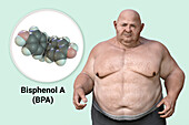 Link between plastics and obesity, conceptual illustration