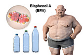 Link between plastics and obesity, conceptual illustration