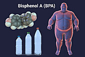 Link between plastics and obesity, conceptual illustration