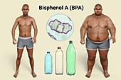 Link between plastics and obesity, conceptual illustration