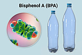 Bisphenol A molecule and plastic bottles, illustration