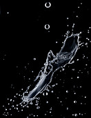 Water splash against a black background