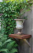 Rusty consolhylla with vase, surrounded by Klättervildvin and ferns