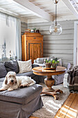 Dog on a grey sofa in a rustic living room with wooden furniture and plant decorations