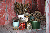 Arrangement of dried plants and seeds in pots and jars