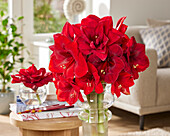 Hippeastrum bouquet