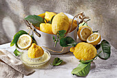 Zitrone von der Amalfiküste