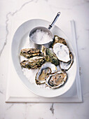 Oysters with sea salt