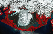 Malaspina Glacier, Alaska, USA, satellite image