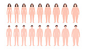 Body mass index , illustration