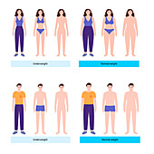 Underweight and normal weight woman and man, illustration