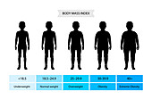 Body mass index for children, illustration