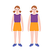 Underweight and normal weight girl, illustration