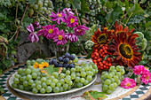 Herbsttisch mit Weintrauben, Herbstanemone (Anemone Hupehensis) 'Pamina', Sonnenblume (Helianthus), Mehlbeeren (Sorbus)