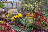 Herbstliche Blumenbeete mit Mandelblättriger Wolfsmilch (Euphorbia amygdaloides) 'Ascot Rainbow', Azalee, Purpurglöckchen (Heuchera), Chrysanthemen, Topinambur, vor Gewächshaus