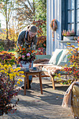 Frau stellt herbstlichen Blumenstrauss mit Zinnien (Zinnia), Rosen, Herbstastern auf den Gartentisch
