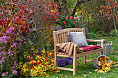 Garden bench in front of flower bed with cushion aster (Aster dumosus), dahlias and lampion flower (Physalis alkekengi)