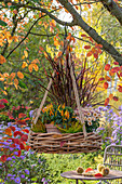 Autumn hanging basket of Chrysanthemums (chrysanthemum), budding heather (calluna vulgaris) 'Sunset Girls Zoe', fountain grass 'Rubrum' (pennisetum setaceum), ornamental pepper 'Medusa' in the garden