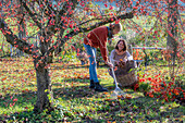 Two women gardening in autumn