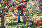 Frau bei Gartenarbeit im Herbst