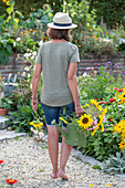 Gartenarbeit, Frau mit Blumenstrauss in Gießkanne vor Blumenbeete mit Sonnenblumen (Helianthus Annuus), Rutenhirse (Panicum virgatum)