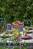 Table decoration with apples (Malus Domestica), ornamental apples 'Golden Hornet', 'Red Sentinel' and 'Evereste', fruit harvest, set table