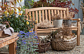 Getrocknete Blumen auf der Terrasse und Blumentöpfe mit Dahlien (Dahlia), Gemeiner Flachs (Linum usitatissimum), Kronen-Lichtnelke (Lychnis coronaria), Quirlblütiger Salbei, Brennessel, Gemeine Nachtkerze (Oenothera biennis)