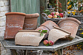 Clay pots with labeled for different apple varieties and apples in a basket