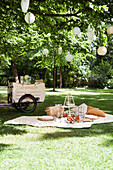 Summer picnic in the park with blanket, cushions and drinks trolley