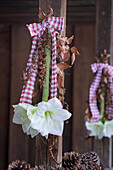 Hanging white amaryllis decorated with dried copper beech and fern branches