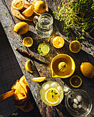 lemon juice with herbs