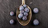 Blueberries on a silver spoon