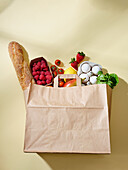 Paper shopping bag with organic groceries