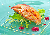 Lobster claw with salad and raspberry dressing
