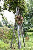 Autumn wreath of bindweed and hydrangea under plum tree