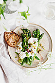 Green asparagus with burrata, pistachios, olive oil and lemon zest