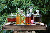Medicinal liqueurs, homemade from herbs and fruits