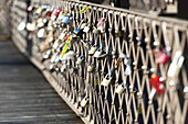 Love Locks On A Fence; New York City, New York, United States Of America