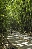 Girl Walking On The Road Along The Forest In The Middle Of Bohol Island; Bohol Island, Philippines