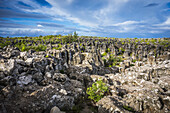 Zerklüftetes Inneres der Insel Nauru; Nauru