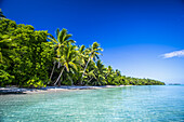Eine Insel, die Teil des Meeresparks ist, in der Nähe des Festlands von Tuvalu; Tuvalu