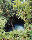Leiter hinunter zum Sua-Wasserloch; Insel Upolu, Samoa