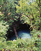 Ladder Down To Sua Waterhole; Upolu Island, Samoa