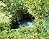 Eine Leiter zum Sua-Wasserloch; Insel Upolu, Samoa