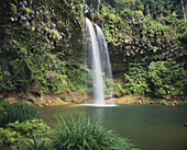 Waterfall In The Jungle; Sarawak