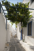 Eine schmale steinerne Gasse mit Weinreben und weiß getünchten Häusern; Kastro, Sifnos, Kykladen, Griechische Inseln, Griechenland
