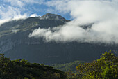 Looking Through Forest To The Ridge Of Mount Mulanje; Malawi