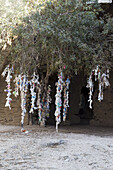 Gebundene und hängende Gegenstände an einem Baum; Paphos, Zypern